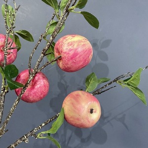 Manzano artificial altamente realista con sala <span class=keywords><strong>de</strong></span> estar <span class=keywords><strong>de</strong></span> frutas y mesa <span class=keywords><strong>de</strong></span> comedor Característica <span class=keywords><strong>de</strong></span> decoración del hogar - Product Image 3