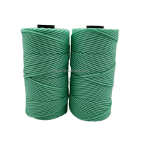 Corde d'emballage cadeau de corde tressée en polypropylène rose de haute qualité pour bricolage fil tressé Mason ligne cordes filetées
