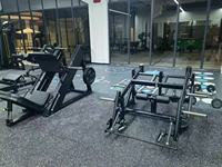Équipement de musculation commercial, entraîneur dorsal, développeur de chaîne postérieure, machine à dos, machine de musculation pour salle de sport