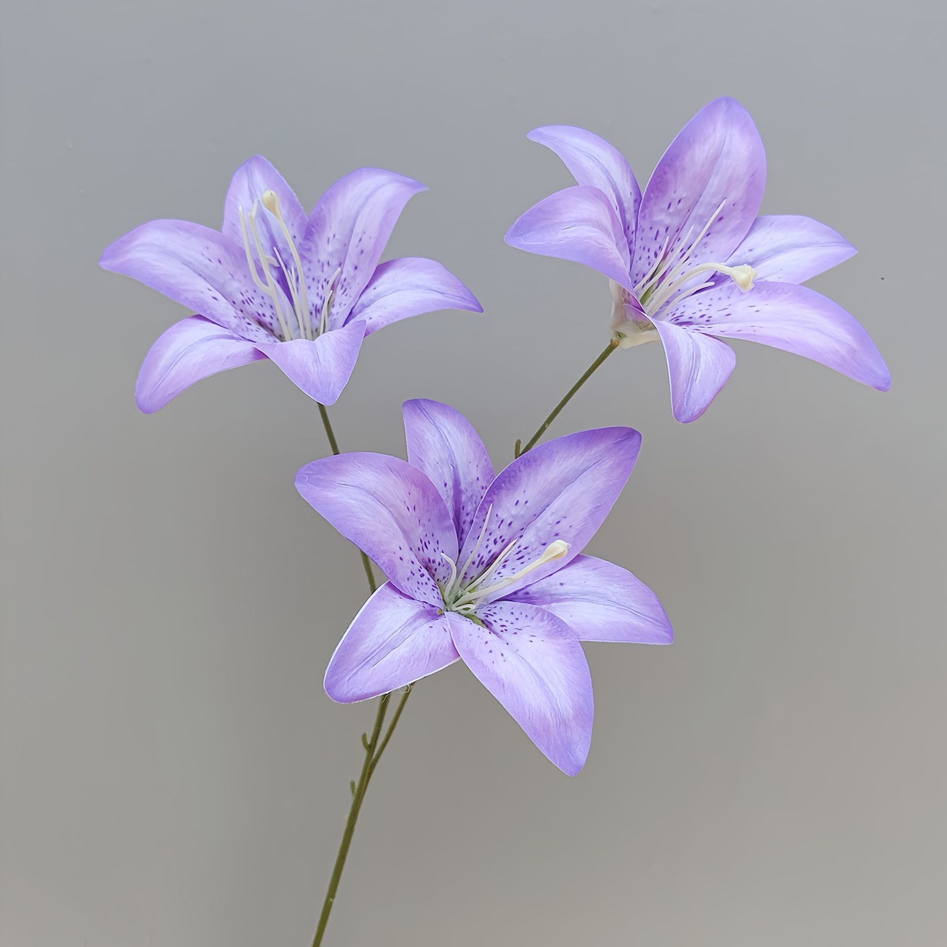 3d lys-violet-67cm