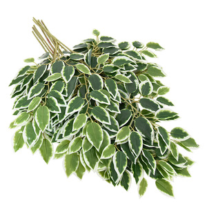 Foglie di Baniano Artificiali in Plastica di Alta Qualità Dipinte a Mano per Decorazioni Esterne di Capodanno e Paesaggistica del Giardino - Product Image 4