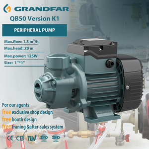 مضخة مياه محيطية GRANDFAR QB50 125 واط 220 فولت بضغط عالٍ ومحرك نحاسي نقي، مضخة مياه سطحية معززة كهربائية - Product Image 1