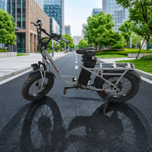 Vélo électrique pliable 20 pouces 48V 1000W avec pneus larges, moteur roue arrière, cadre en alliage d'aluminium, batterie intégrée, 7 vitesses - Product Image 3