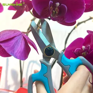 SUNSHINE निर्माता थोक फूल होम प्लांट प्रूनिंग कैंची बागवानी के लिए प्रीमियम स्टेनलेस स्टील ब्लेड बोनसाई कैंची