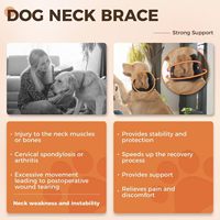 Collier cervical respirant en acier inoxydable pour chien avec support de cou pour la prévention des entorses post-opératoires - Recommandé par les vétérinaires