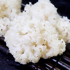 Exportación de China, Coliflor Fresca de Origen, Champiñón <span class=keywords><strong>Sparassis</strong></span> <span class=keywords><strong>Crispa</strong></span> para la Venta - Product Image 2