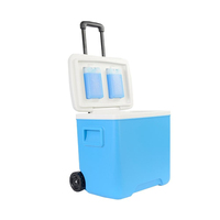 Glacière isotherme portable 30L moderne avec roues et poignée pour le camping, maintien de la glace pendant 48h
