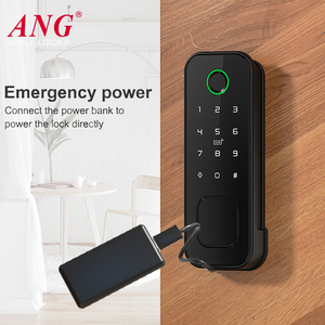 <strong>Code</strong> Oem Digital Door <strong>Lock</strong> Biometric Security <strong>Zinc</strong> <strong>Alloy</strong> Latch Keypad Fingerprint Tuya Ttlock Rim Automatic <strong>Lock</strong> for Apartment - Product Image 6