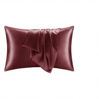 Taie d'oreiller 19MM 100% Soie de Mûrier avec Fermeture Éclair pour Soin des Cheveux et de la Peau, Literie Moderne de Luxe pour la Maison et l'Hôtel, Personnalisable