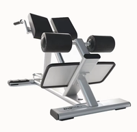 Équipement de fitness commercial en métal – Banc de musculation robuste et écologique pour l'entraînement du bas du dos