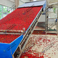Déshydrateur industriel de fruits, machine de lavage et de séchage de dattes, équipement de séchage pour olives, prunes et pruneaux