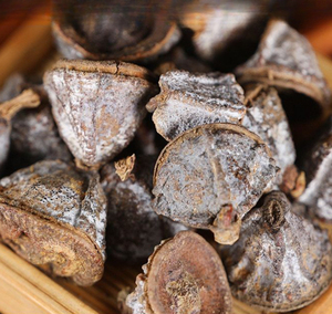 Frutos de Eucalyptus Globulus Silvestres, Secados al Sol, Tradicionales de Arabia y África, en Saco, Naturales - Product Image 1