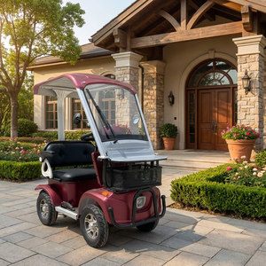 Mini-buggy électrique léger S1-3 à une rangée pour adultes, <span class=keywords><strong>2</strong></span> places, 60V 20/32AH avec porte-bagages pour parcs, communautés et centres de villégiature - Product Image 1