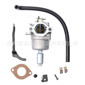Carburateur Briggs Stratton P4-799727 pour moteur 799727 698620 791886 690194, pièce de rechange - Product Image 2