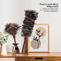 Plumeau en Plumes d'Autruche Teintes sur Mesure, Outil de Nettoyage Doux et Coloré pour Voiture, Chambre, Bureau, Table