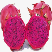 Poudre de fruit du dragon (pitaya) rouge naturel, qualité alimentaire, certifiée HALAL, lyophilisée, 80 mesh, disponible toute l'année, emballée sous vide en fût
