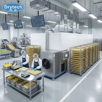 Fabrieksdirecte verkoop Elektrische Zoete Aardappel Warmtepomp Dehydrator Groente Droogmachine PVOC Gecertificeerd