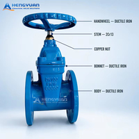 Vanne à opercule à joint souple DIN allemande, à tige sombre |   Contrôle hydraulique industriel et régulation de pression |   Avec guide d'installation