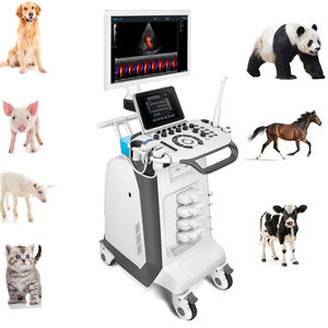 Dierenarts Diagnostisch Ultrasone Systeem Kleur Doppler Veterinaire Transducer Echografie Machine Scanner - Product Image 3