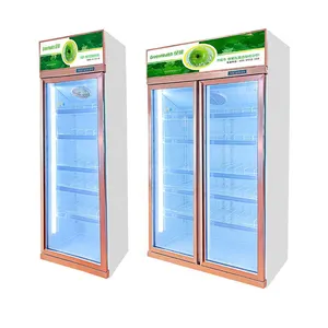 Commercial Air Cooler 2 Glass Door Beverage Chiller Wine Fridge Beer Refrigerator