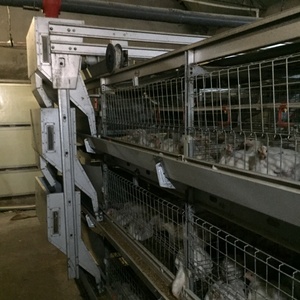 H tipi ünlü marka et tavuk Broiler tavuk otomatik içme besleme gübresi konveyör bant sistemi ile kafesleri yükselterek - Product Image 1