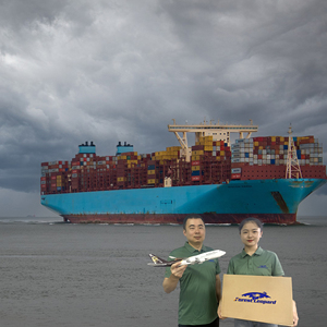 Servicio de Logística de Entrega a Domicilio DDP con Envío LCL+Express desde China a Destinos Globales - ForestLeopard Freight Forwarder - Product Image 2