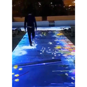 Projection de sol interactive avec multi-canal pour le <span class=keywords><strong>long</strong></span> couloir du parc - Product Image 4