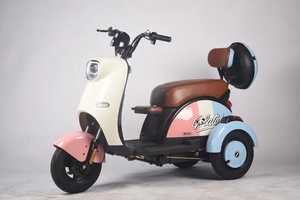 Tricycle électrique en gros pour deux <span class=keywords><strong>personnes</strong></span>, mini tricycle, vélo électrique à <span class=keywords><strong>3</strong></span> roues - Product Image 6