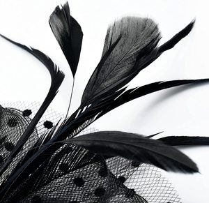 Ladies Wedding <strong>Bridal</strong> Fascinator Retro Party Feathers Net <strong>Veil</strong> Mesh Hair Clip Hats <strong>Headbands</strong> - Product Image 3