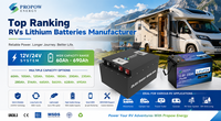 Batterie LiFePO4 au lithium Propow personnalisée pour camping-car, cycle profond 12V 314Ah, pour camping-car, caravane, fourgon, solaire