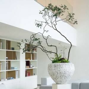 Pots <span class=keywords><strong>de</strong></span> fleurs en fibre <span class=keywords><strong>de</strong></span> verre décoratifs d'intérieur et d'extérieur pour décoration <span class=keywords><strong>de</strong></span> jardin, Grandi Vasi Per Piante - Product Image 2