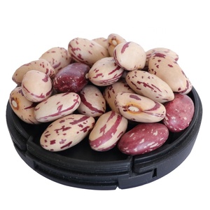 Fagioli <span class=keywords><strong>Rossi</strong></span> Maculati, Fagioli Pinto e Fagioli di Cranberry all'Ingrosso per Alimenti in Scatola - Product Image 1
