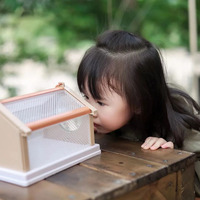 Bricolage Nature Jouets Bungalow forme Critter Cage Bug Catcher Maison Insecte Habitat