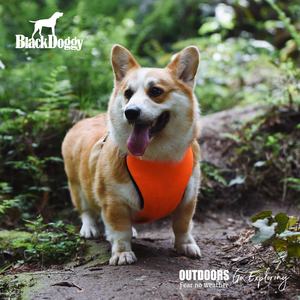 เสื้อกั๊กสุนัขระบายอากาศได้ดีผ้าโพลีเอสเตอร์เนื้อแข็งตาข่ายระบายความร้อน - Product Image 5