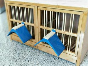 Yeni liste doğal onaylı taşınabilir levrek pet bite pençe taşlama kuş - Product Image 2