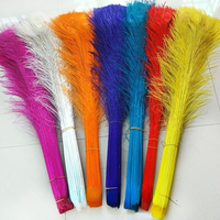 Plumes de paon naturelles teintes et décolorées en gros pour accessoires de bricolage