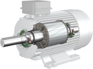 ตลับลูกปืนสเตนเลสสำหรับเดี่ยว C3 SKF6006-2RS1แบบเรเดียลตลับลูกปืนเม็ดกลมสำหรับทำจากสเตนเลสแถวเดียว - Product Image 4