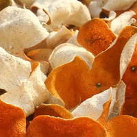 Kulit Jeruk Kering Chen Pi Guangdong untuk Bumbu dan Rasa Herbal Teh