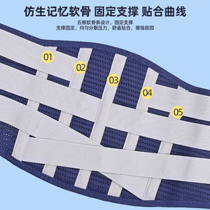 Sports lumbar support belt with waist <b>padding</b>, suitable <b>for</b> all seasons, men and women, fitness, weightlifting, breathable - Product Image 1