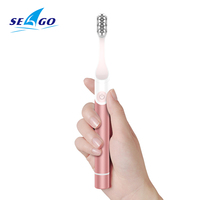 Brosse à dents électrique sonique pour adultes OEM avec étui de voyage et support de miroir, élégante, minuterie, manche en métal - Métalochrome