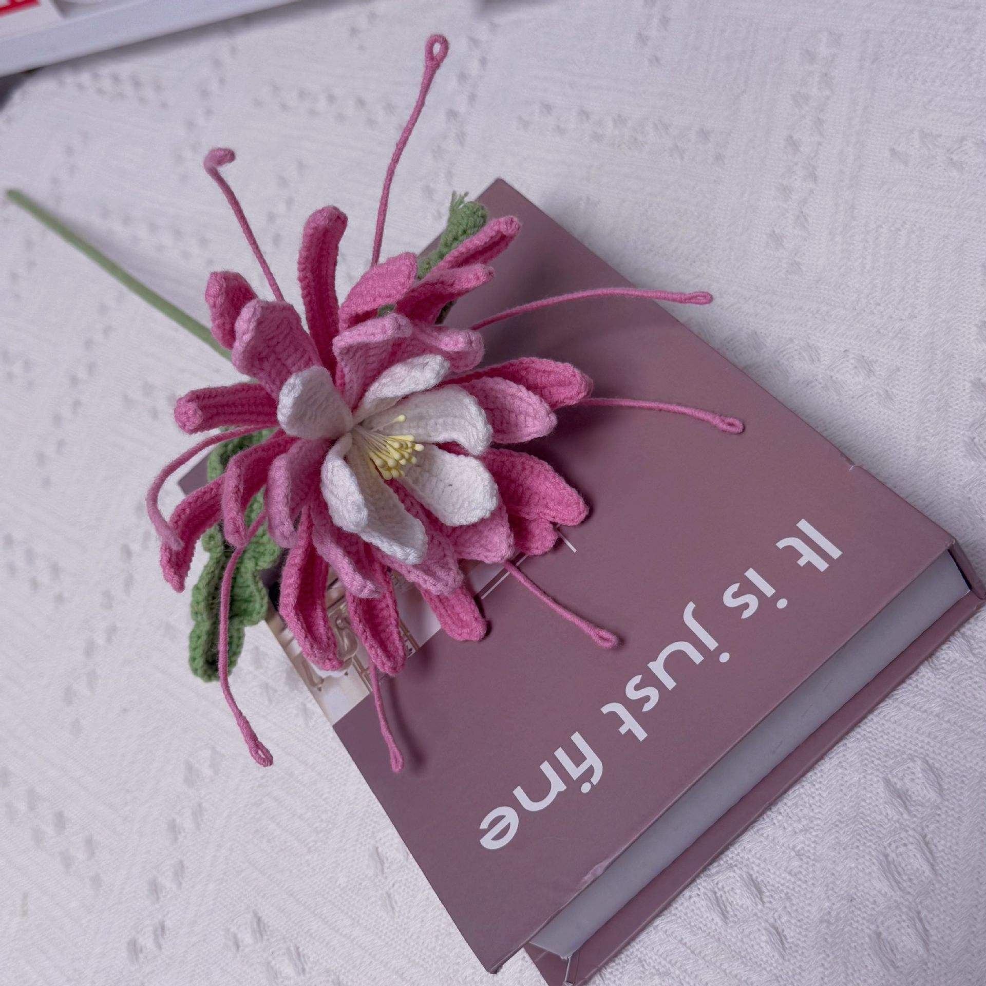 สีชมพูไล่เฉดสี