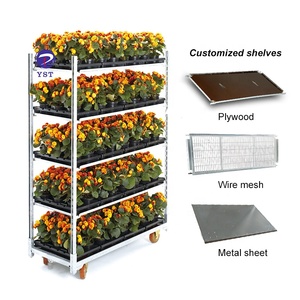 Bastidores de almacenamiento de transporte de jardín de madera contrachapada metálica para Plantas Danesas - Product Image 4
