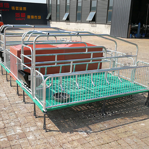 Équipement d'élevage porcin : <span class=keywords><strong>Lit</strong></span> de maternité européen <span class=keywords><strong>pour</strong></span> truies, <span class=keywords><strong>lit</strong></span> de mise bas double, incubateur <span class=keywords><strong>pour</strong></span> porcelets / Cages de mise bas <span class=keywords><strong>pour</strong></span> porcherie - Product Image 3