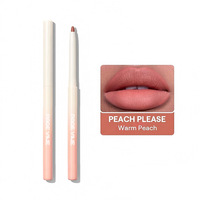 Crayon à lèvres mat longue tenue, hydratant, imperméable, facile à appliquer, anti-transfert, effet brume, pour maquillage des lèvres, vente en gros