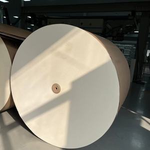 Rollo de Papel con Recubrimiento de PE, Papel Base para Recubrimiento, Materia Prima para Papel para Vasos - Product Image 4