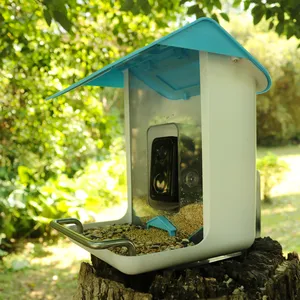 Cámara inalámbrica para casa de pájaros salvajes, Identificador de especies de aves, captura automática, vídeo y notificación