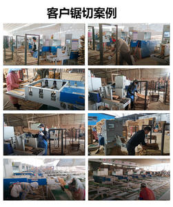 DEALE Autre machine à bois, scierie, scie à bois, machine à scierie, machine à couper le bois, scie à lames multiples, machine à couper les planches - Product Image 2