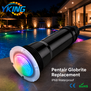 ไฟสระว่ายน้ำ LED RGB หลายสี ยี่ห้อ Pentair Globrite รุ่น Nicheless ขนาด 12W AC12V กันน้ำ IP68 พร้อมสายไฟยาว 2.5 เมตร - Product Image 1