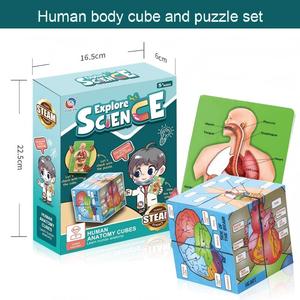 Modelo de Órganos Humanos Educativo para Niños, Juguete de Ciencia y Tecnología, Ensamblaje DIY, Cognición Temprana, STEAM, Juguete Médico Interno - Product Image 4