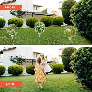 Ensemble d'outils à poignée à 3 sections en acier inoxydable Tueur de racines et extracteur de griffes de mauvaises herbes Outil à main en plastique pour le jardin domestique - Product Image 5